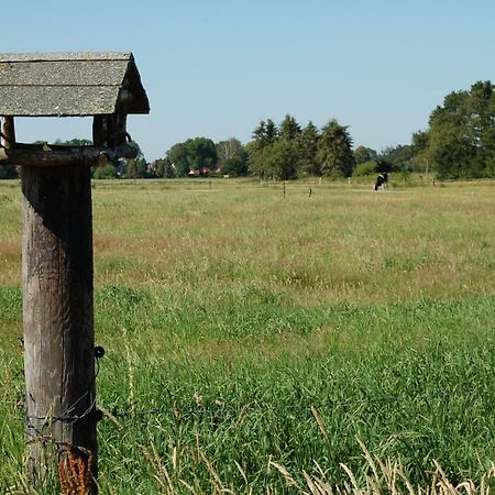 Ferienwohnung Wiekenblick Wiesmoor Eksteriør bilde